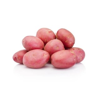 Pomme de terre Rosvalt
