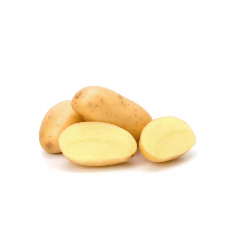 Pomme de terre Charlotte