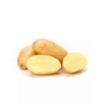 Pomme de terre Charlotte