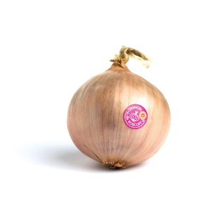 Oignons Roscoff