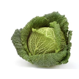 Choux Vert