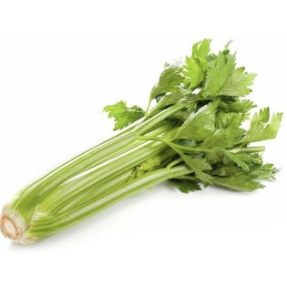 Céleri Branche